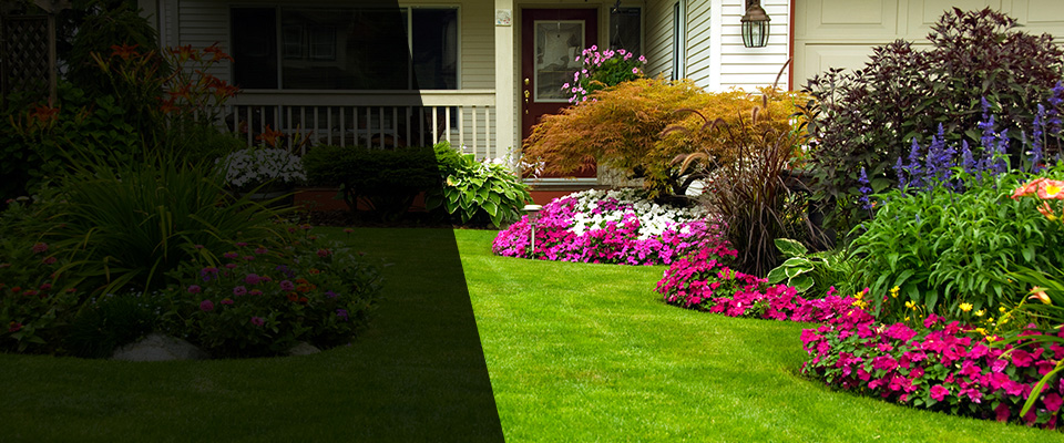 Brevard Landscapers