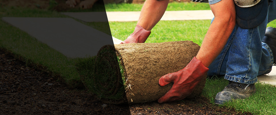 Brevard Landscapers